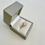 9ct. Gold Citrine Set Ring / Acanthus Foliage Design. 