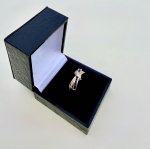 9ct. Yellow Gold Sapphire &amp; Diamond Double Band Ring. NEW STOCK.